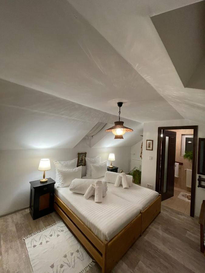 شقة Apartament Yannis ألبا يوليا المظهر الخارجي الصورة