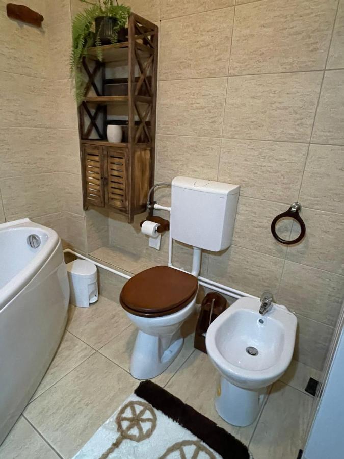 شقة Apartament Yannis ألبا يوليا المظهر الخارجي الصورة